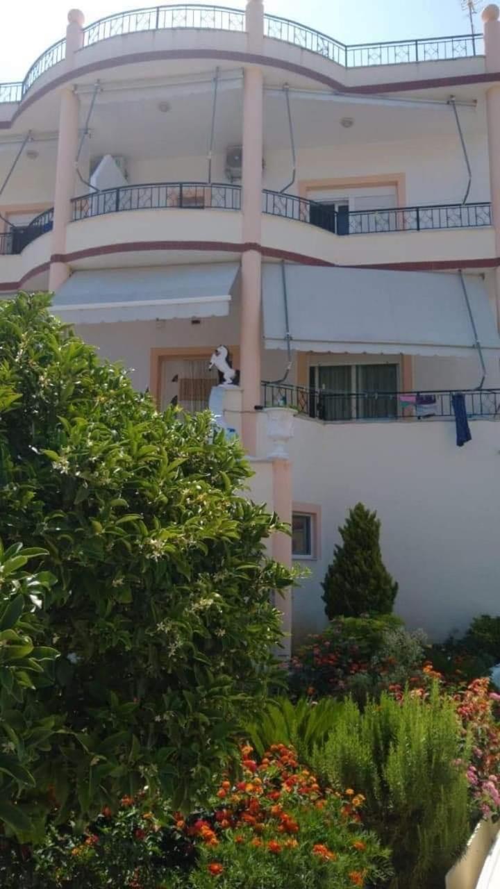 Apartments Rudi Orikum Luaran gambar
